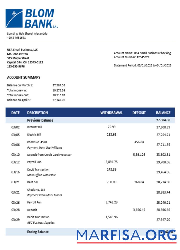Blank Blom Bank of Egypt enterprise account statement Word and PDF template